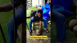 Cara mudah kupas kelapa tua #shorts #short #kupaskelapa #sabutkelapa