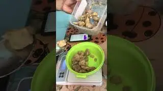 মা না থাকলে এই খাবার কিভাবে তৈরি করতাম নিজেই জানিনা