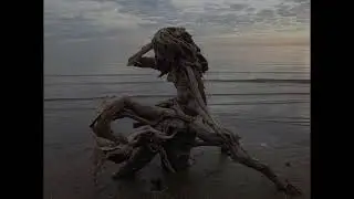 История о божественной красоте -Ведические притчи