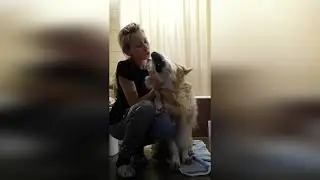 Funny Dog/ СОБАКА БАЛДЕЕТ #shorts | КАЙФ, ДА?