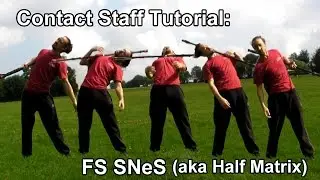 Contact Staff Tutorial: FS SNeS (Half Matrix)