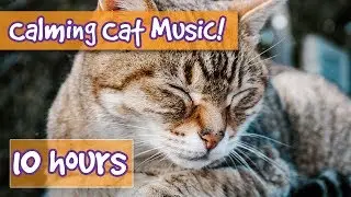 How to Calm Your Cat Down? Music to Relax and Calm Anxious Cats, Relieve Stress, Help with Sleep! 🐈