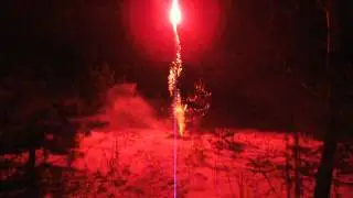 31.12.15. Ресторан Сосновый.11