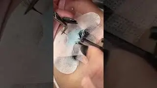 Lash Tape Layering