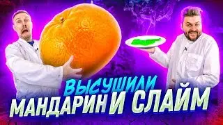 Что если ВЫСУШИТЬ мандарин, слайм, кукурузу, яйцо? / Научные нубы 2.0