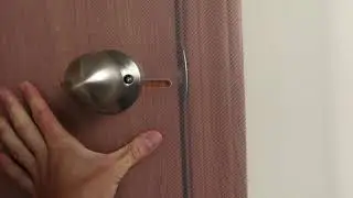 Amazon CLAWGUARD door protector review