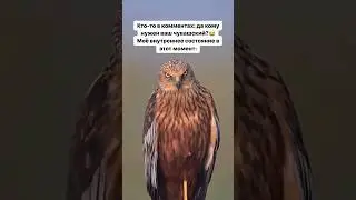 Мне нужен❤️ 