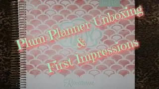 Plum Paper Planner Unboxing⎪First Impressions 2016