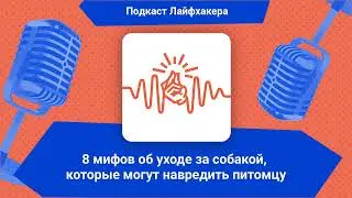 8 мифов об уходе за собакой, которые могут навредить питомцу | Подкаст Лайфхакера
