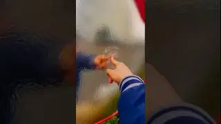 Таково творение Аллаха. #каран #напоминание #сунна