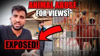 Shehr Main Dihat Exposed!💢 - Using Poor Animals For Views | Breaking Silence