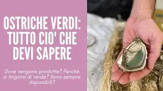 LE OSTRICHE SIMBOLO DI BORDEAUX