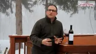 90+ Cellars Monster Red Blend 2009 - Fairgrounds Wine and Spirits
