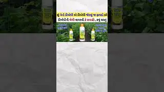 How to use nano dap/nano dap all detail and information #iffco #nanodap #shorts  @Kheti_walee