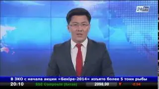 АҚШ: 6 жасар бала әйелді атып өлтірді