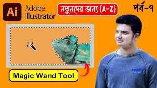 Magic Wand Tool In Illustrator | Adobe Illustrator 2024 Full Course Bangla