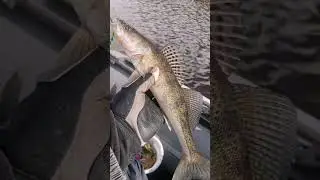 В чем прикол рыбалки? 😁😁😁