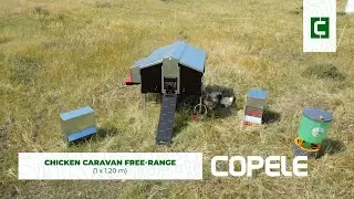Chicken Caravan Free-Range 1x1.20 m - Promo | Copele