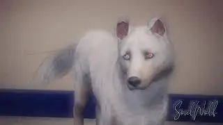 No Time To Die MEP part 3 for TheGothicWolf