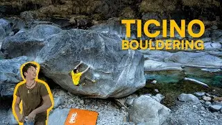 Some of Ticino's finest BOULDERS