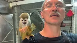 Играем ложечкой и прячемся в гамаке