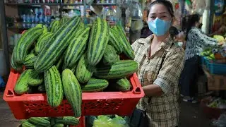 Market show, Buy Fresh Cucumber for Fermenting / Yummy Cucumber Pickle Cooking Pork Ribs recipe