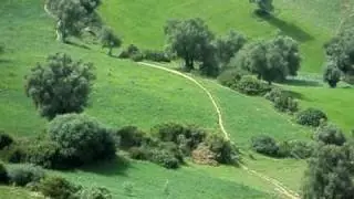Nature du Maroc Région Jbala