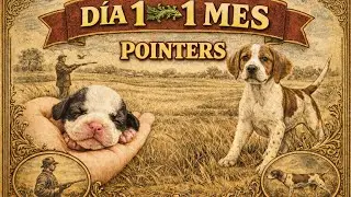 19 de agosto de 2022