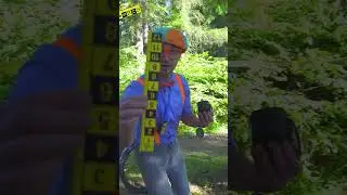 What does Detective Blippi Find? 