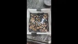 மைதா முட்டை வெள்ளை சர்க்கரை இல்லாமல் சூப்பர் ப்ஸ்கட்