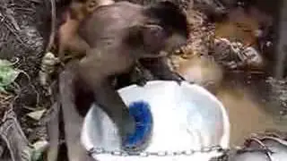 Bunu bayanlar izlemesin     )