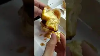 Pleco Devours an Egg Tart