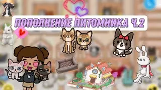 Пополнение питомника часть 2!!!!🐰🐰🐰