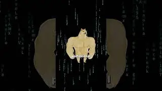 #nikorasu