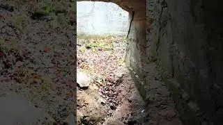 "Пещеры" Зуевского района.