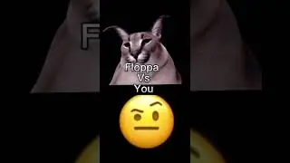 You vs big floppa 