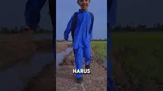 Kehidupan | Alor Setar Kedah