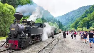 Mocanita Maramures - Mocanita Tour