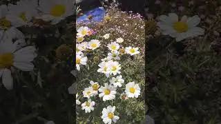 12 июля 2024 г.