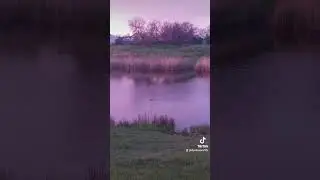 30 апреля 2023 г.