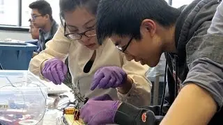 Bioengineering