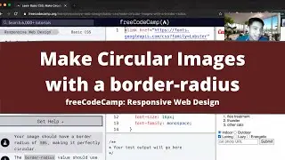 Make Circular Images with a border radius (Basic CSS) freeCodeCamp tutorial
