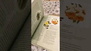 Вдохновение 🧡