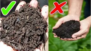 5 Common Composting Mistakes You're Probably Making