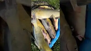 Pops Birthday Fishing Trip