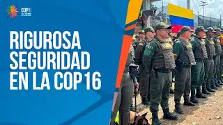 El fuerte y riguroso dispositivo de seguridad que blinda la COP16 en Cali