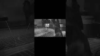 🔥ALTERNATIVE MOTION - MATRIX PUZLE🔥🥷🤙🔥 YOU CAN CHECK MY CHANNEL  FOR MORE UNDERGROUND PROD. & MIXEX🥷