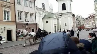 warsaw Horse Old Town