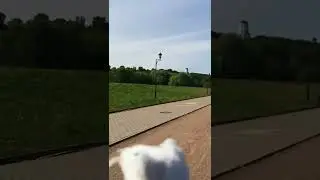 Круассильда обиделась