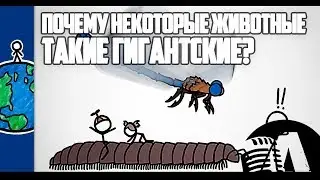 ПОЧЕМУ НЕКОТОРЫЕ ЖИВОТНЫЕ ТАКИЕ ГИГАНТСКИЕ? | RUS VOICE [НАУКА]